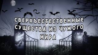 :    .
