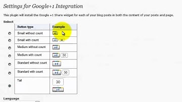 how to install the google +1 button
