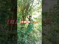e re juri tinj#shorts#yt shorts#@surai tudu d20