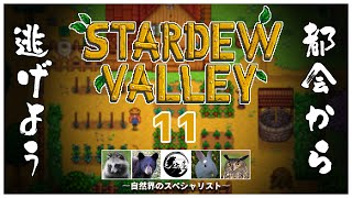 【#stardewvalley】田舎でスローライフ ~11日目~【毛玉屋】