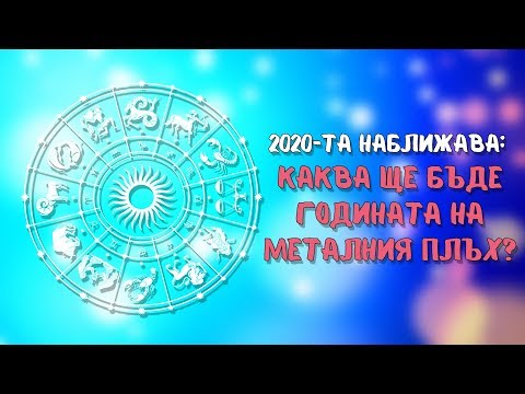 Видео: Какво означава 2020 година на металния плъх?