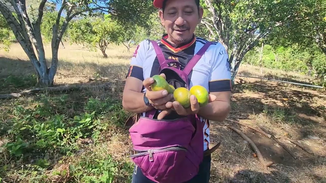 Lo bello de el campo. - El Tío Sierra