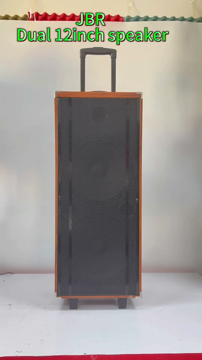 JBR BEST SELLING Dual 12inch wooden trolley speaker #ndr #speaker #music #ndr