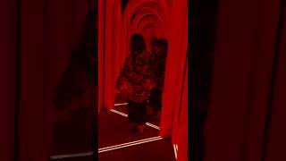 Kid Has a Lot of Fun in a Mirror MAZE #mirror #maze #viral