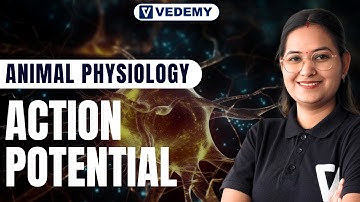 Action Potential | Animal Physiology | Part-3 | By Dr. Ravina Rai | CSIR | GATE | DBT | ICMR | NEET