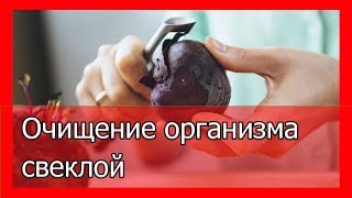 Салат из свеклы очищает организм Салат из свеклы очищает организм