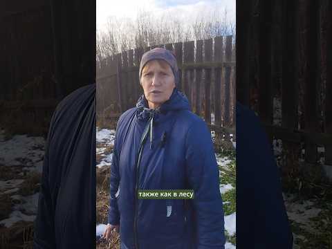 Когда начинать природное