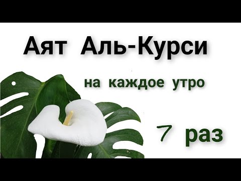 АЯТ АЛЬ-КУРСИ #аяталькурси