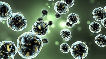 REBOOT Teaser - Long Version