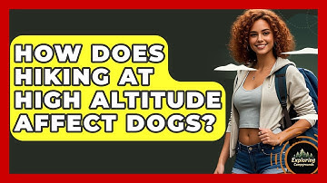How Does Hiking At High Altitude Affect Dogs? - Exploring Campgrounds
