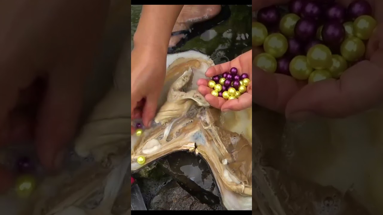 The rare pearl finally meets 