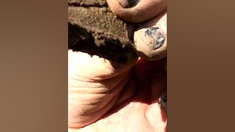 Metal Detecting Mystery Victorian Lid Silver Coins Relics Bottles Toys Western NY #treasure #shorts