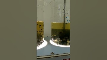 Jar testing for polymer selection