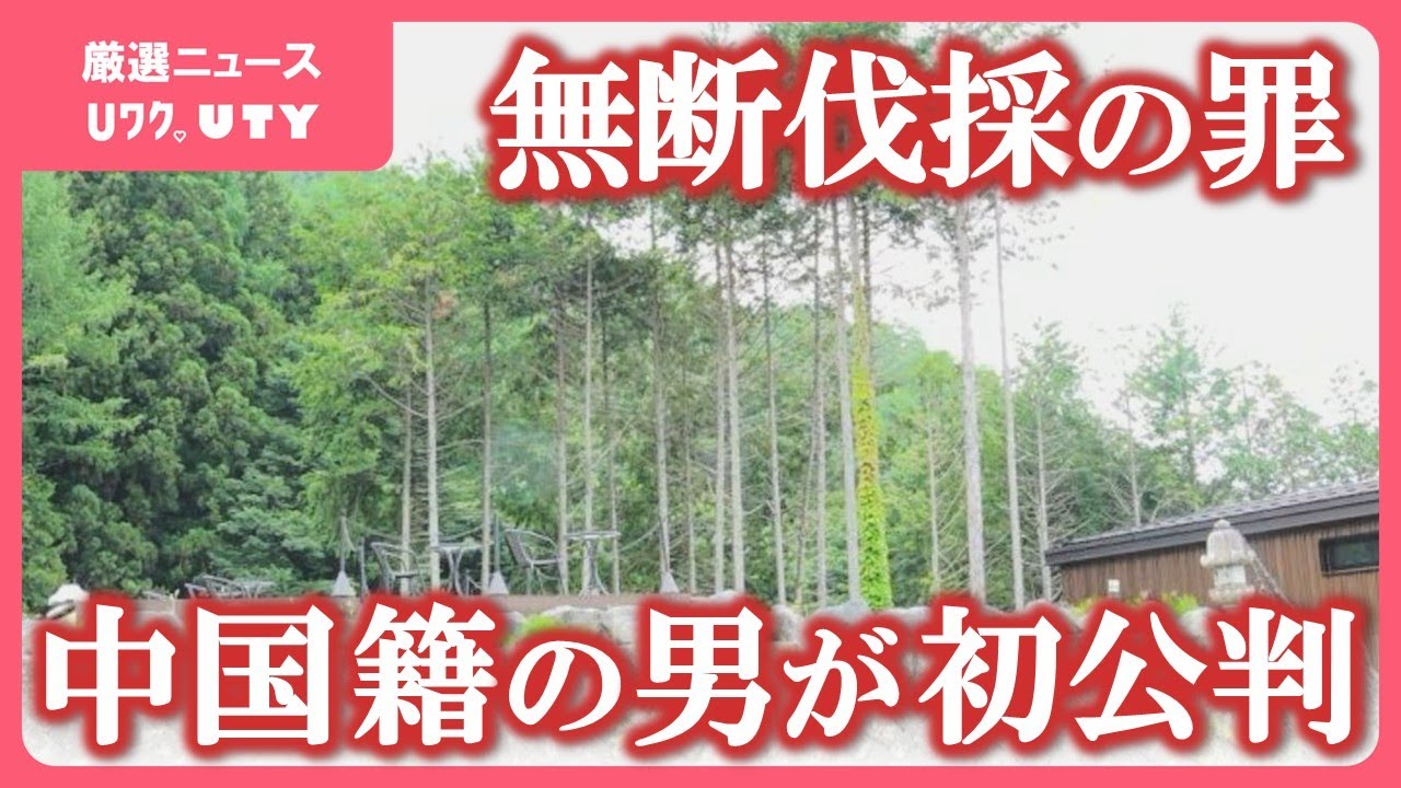山梨一宮の木のてっぺんで収穫した　超特大サイズを5個詰めて　２箱重ねて発送 山梨一宮の木てっぺんで収穫した 超特大サイズを 5個詰めて発送
