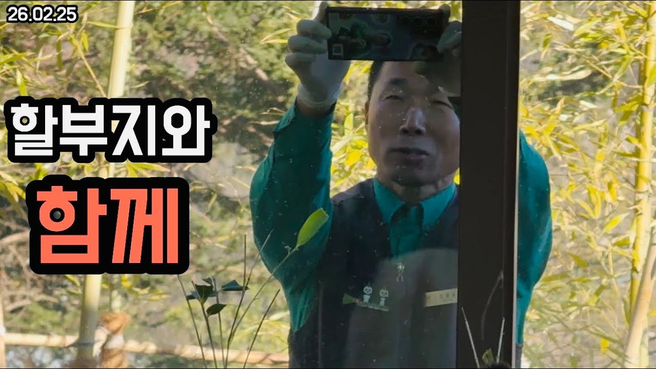 26.02.25 루이후이 할부지 어디있게용 뇽뇽🥰🥹