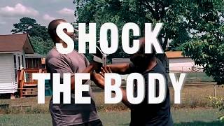 Rofist Combatives Episode 3 Shocking The Body