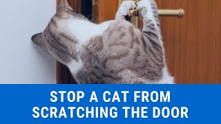 How to stop a cat from scratching the Door updated 2021