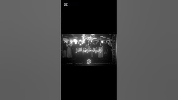 سورة يونس♥️🕋 #اكسبلور #المصحف #محمد_اللحيدان #لايك