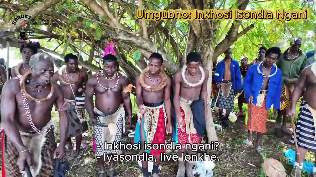 🇸🇿 Libutfo lihlabela umgubho lotsi  