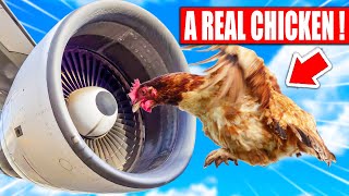CRAZY Jet engine Tests YOU never knew about! ✈️
