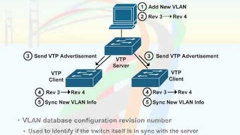 455   41  VLAN Trunking Protocol   05  VTP Operation