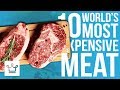 Top 10 Most Expensive Meat In The World