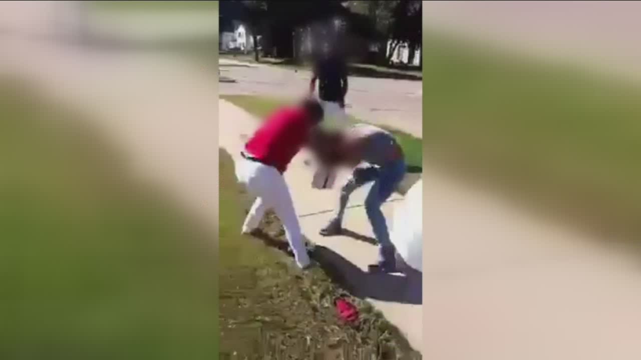 Girls Fights Videos