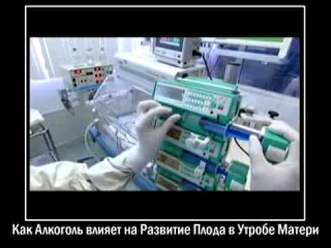 Алкоголь и его влияние на развитие плода в утробе матери