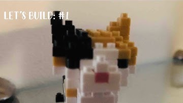 Let’s Build #1 - Calico Cat #shorts