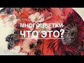 МНОГОЦВЕТКИ - ЧТО ЭТО?