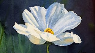 Watercolor painting a cosmos flower