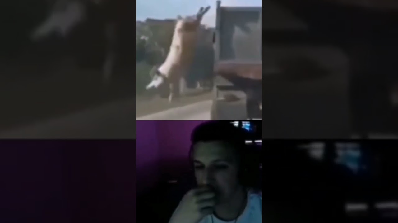 #lol #бекрумс #dede #desigamer #rofl #жёсткий #лол #саня #подкрадули #скаладжонсон