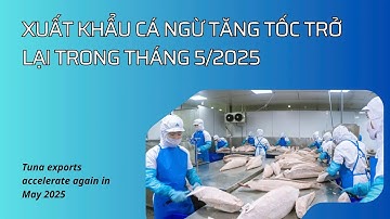 VASEP Highlight - T6/2025: Cá ngừ