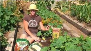 Vegetable Gardening : How to Root Potatoes