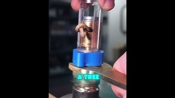 Strongest Axe Ever Made? Shotgun Axe 🪓 #shorts #shorts