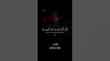 قران كريم بصوت جميل اسلام صبحي #قرآن #اكسبلور