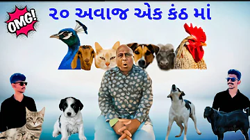 ૨૦ પશુ-પક્ષી ના અવાજ એક જ કંઠ માં | પ્રકાશ પટેલ | VLOG 45 |