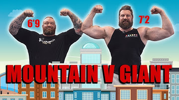 The Dutch Giant 7
