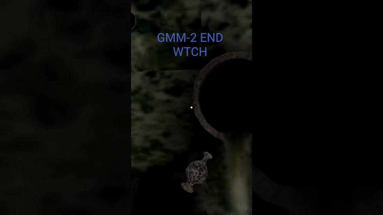 GMM-2 MULTIPLAYER glitch again