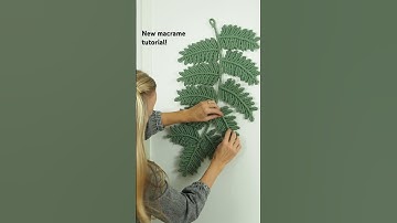 Macrame fern leaf wall hanging 🍃 #macrameleaf #macrametutorial