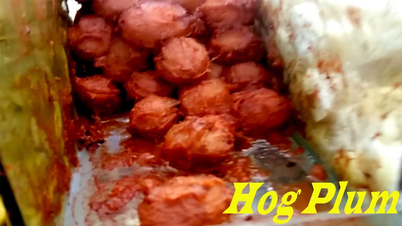 Hog plum chutney amra chetney raw mango chutney pomelo fruit