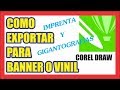 COMO EXPORTAR COREL DRAW PARA IMPRIMIR EN BANNER O VINIL PARA GIGANTOGRAFÍA