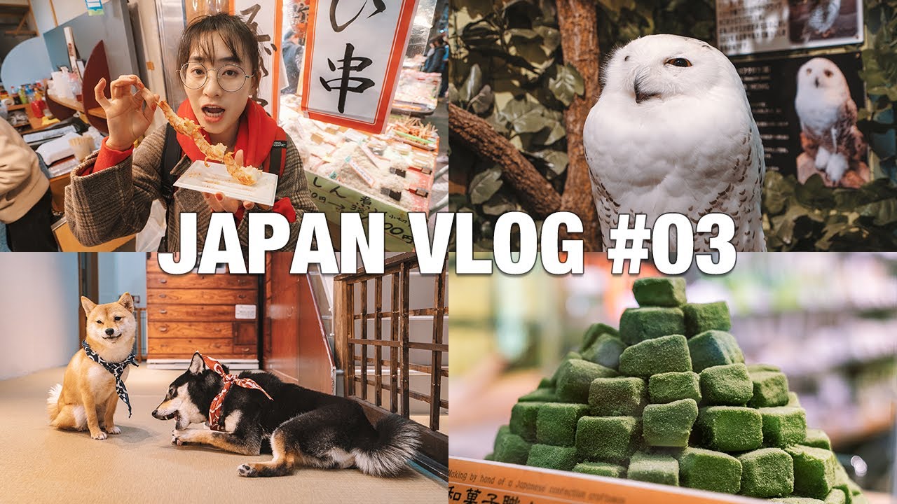 JAPAN VLOG#03 | 在京都锦市场吃一天 | 摸到哈利波特的“海德薇”  | 被秋田犬包围 | 京都不只有寺庙可以逛！