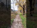 мысли вслух