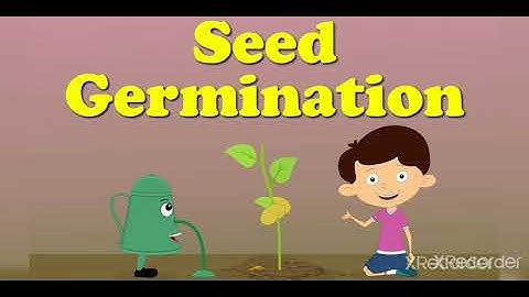 Class 5 | EVS | Ch 3: Developmental Journey of Seed | part3 | gcert