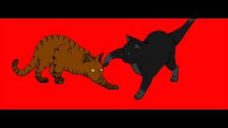 .:Animation:. Cat Fight Loop -TEST-