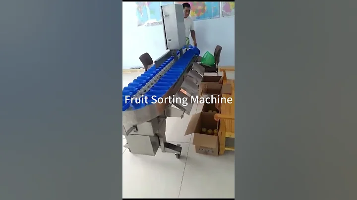 Fruit and vegetable sorting/grading machine
