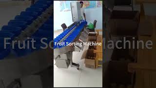 Fruit and vegetable sorting/grading machine