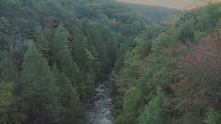 Nature Experience Black Forest VR # 9: Cold clear forest stream, to relax, recharge and calm down screenshot 5