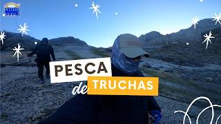 TRUCHAS en PERÚ